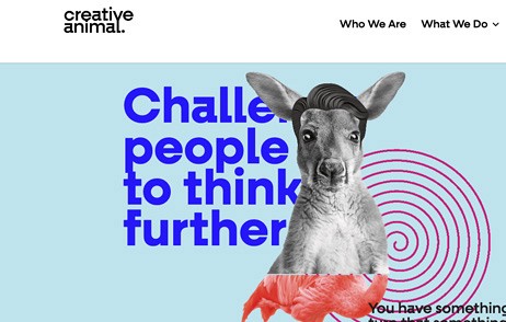 Creative Animal